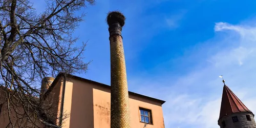 Storchenhorst Trommetsheim, Foto: TV Fränkisches Seenland