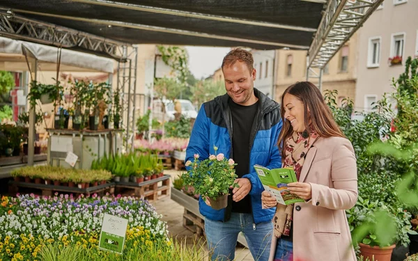 Blumen in der Gärternstadt-Bamberg, Foto: TKS-Image - Schraudner Mueller