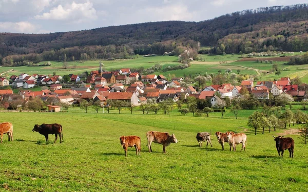 Lohndorf - Fraenkische Toskana, Foto: Gemeinde Litzendorf