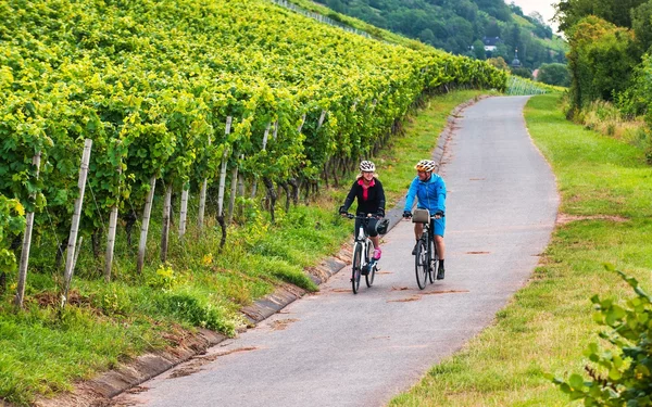 Weinberge Abt Degen Weintal, Foto: Florian Trykowski