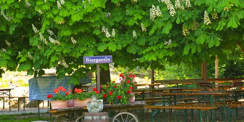 Biergarten unter ehrwürdigen Kastanien, Foto: Fuchsgarten