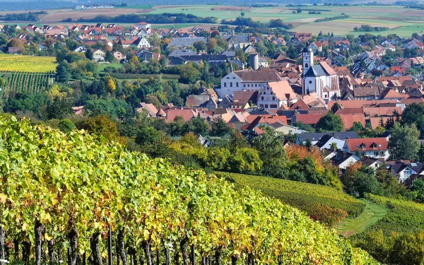 Weinbergblick auf Dettelbach, Foto: Gerlinde Schadel