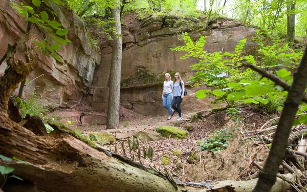 Geologischer Wanderweg, Foto: Stadt Karlstadt