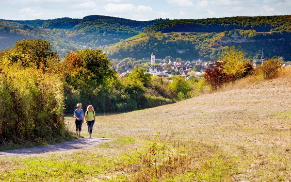 Naturschutzgebiet Karlstadt Saupurzel, Foto: Stadt Karlstadt