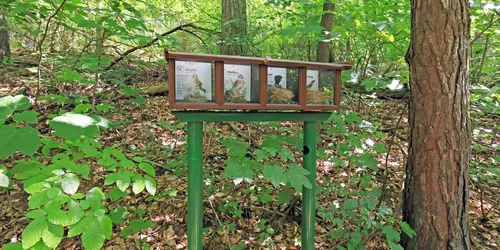 Unterwegs auf dem Vogellehrpfad, Foto: Uwe Miethe, Lizenz: DB