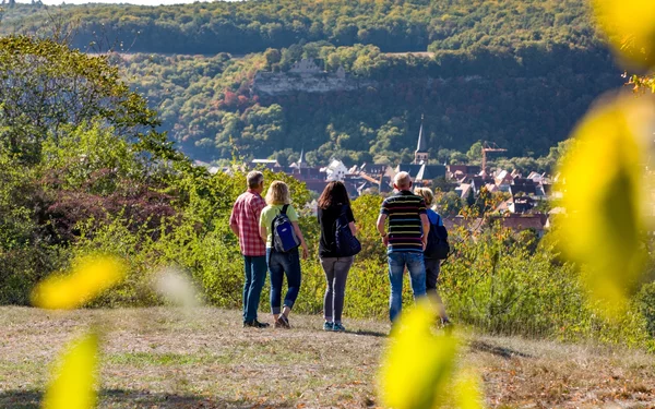 Saupurzel, Foto: Stadt Karlstadt