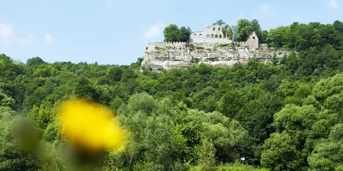 Burgruine Karlsburg, Foto: Fränkisches Weinland