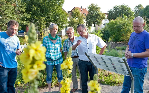 Heilkräuter und Arzneipflanzen im Apothekergarten Schonungen, Foto: A. Hub