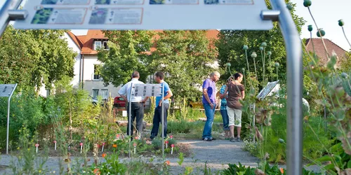 Apothekergarten Schonungen, Foto: A. Hub