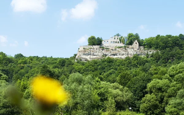 Burgruine Karlsburg, Foto: Fränkisches Weinland