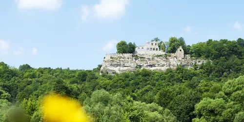 Burgruine Karlsburg, Foto: Fränkisches Weinland