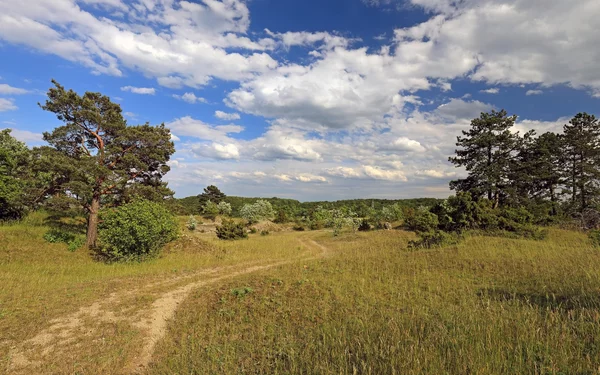 Landschaft im Naturschutzgebiet Rammersberg, Foto: Uwe Miethe, Lizenz: DB