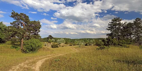 Landschaft im Naturschutzgebiet Rammersberg, Foto: Uwe Miethe, Lizenz: DB