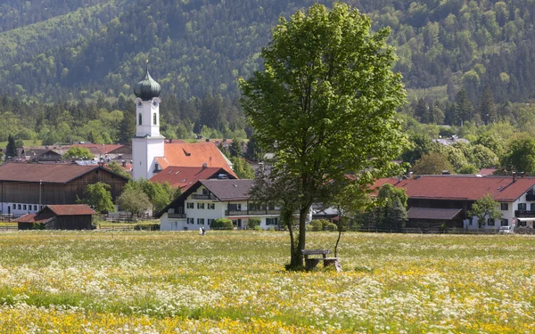 Frühling, Foto: Andi Müller