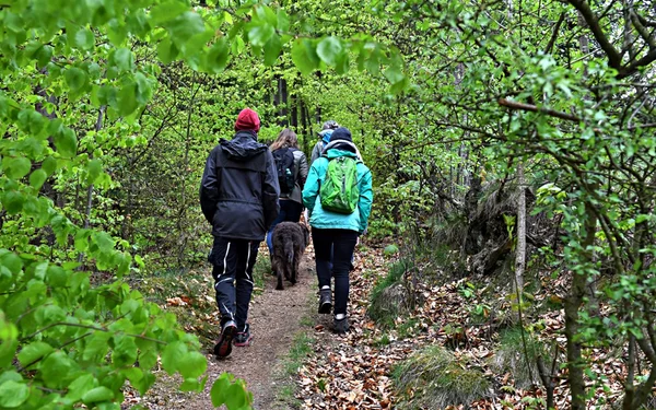 Lauenstein, Märchenweg, Foto: Ronald Rinklef