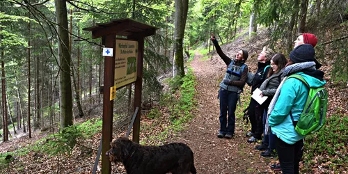 Lauenstein, Märchenweg, Foto: Ronald Rinklef