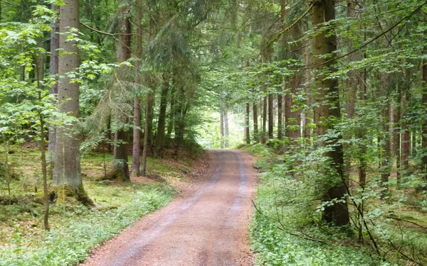 Wegabschnitt, Foto: Förderverein Bergbaugeschichte Stockheim/Neuhaus e.V.