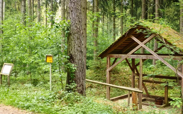 Haspel, Foto: Förderverein Bergbaugeschichte Stockheim/Neuhaus e.V.