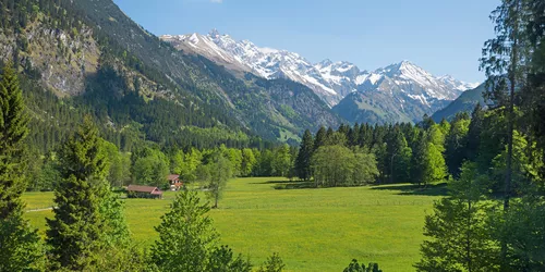 Grünes Tal und Bergpanorama