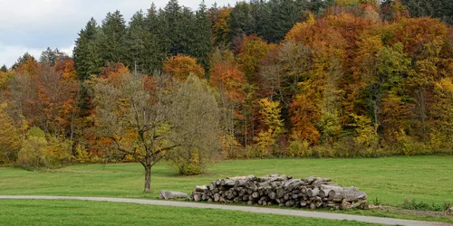 Maisinger Schlucht Wanderweg mit aufgereihtem Brennholz