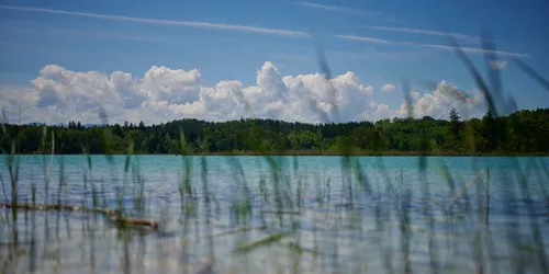 Ein Blick durch Schilf hindurch auf einen schönen kleinen See