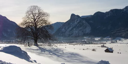 Wandern in Oberammergau: Der Altherrenweg