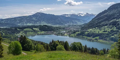 Der Große Alpsee – Naturparadies im Oberallgäu