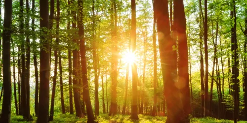 Wald und Umwelt erwandern bei Ebersberg