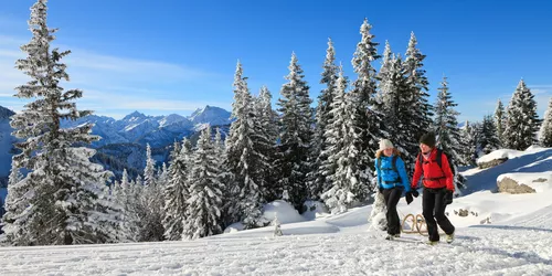 Rodeln am Breitenberg