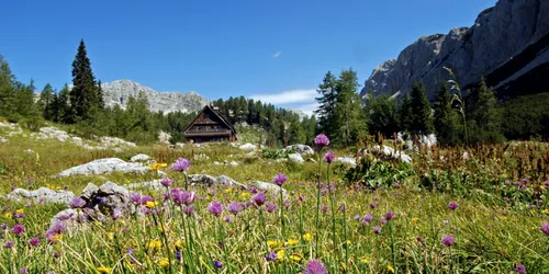 Tour zum Kösseinehaus im Fichtelgebirge